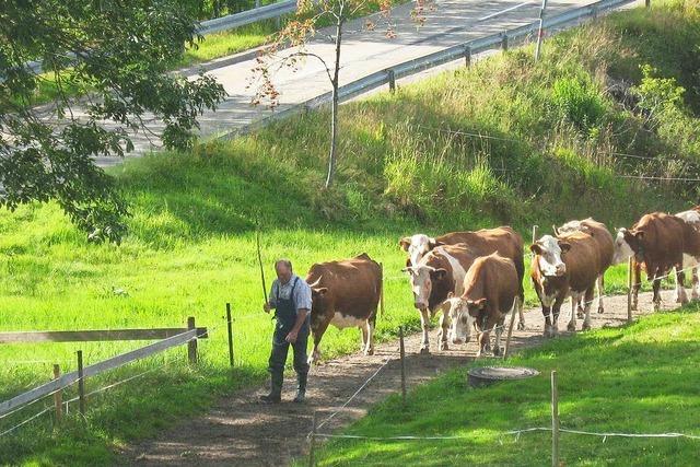 Stalterhof-Stadion (Waldau)
