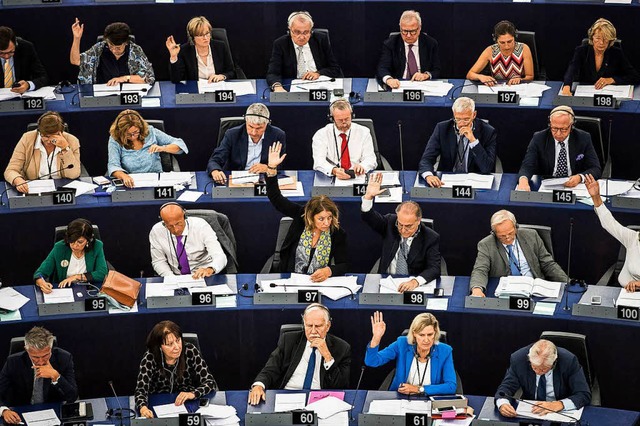 Abstimmung im Europaparlament  | Foto: dpa