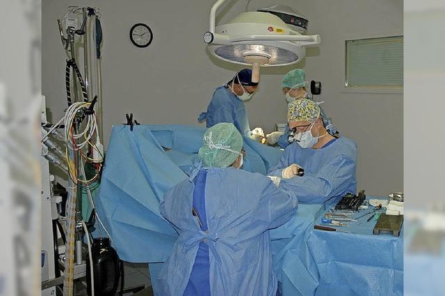 Zentrum für ambulante Diagnostik und Chirurgie im Stühlinger feiert 25-jähriges Bestehen
