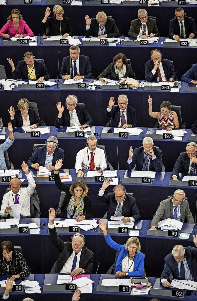 Abstimmung im Straburger Europaparlament   | Foto: dpa
