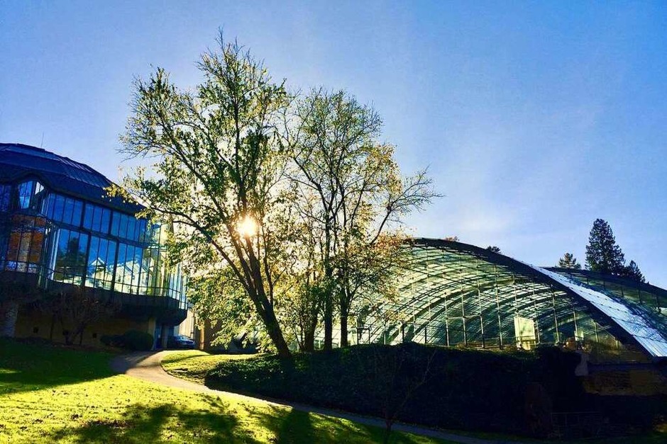 Die beiden Thermen in Badenweiler: rechts die römische Badruine, links die moderne Cassiopeia-Therme (Foto: Susanne Kobrosly) Die beiden Thermen in Badenweiler: rechts die römische Badruine, links die moderne Cassiopeia-Therme (Foto: Susanne Kobrosly)