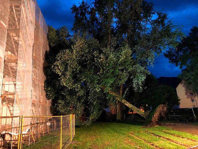 Ein entwurzelter Baum lehnte sich hier in der Emmendinger Strae ans Baugerst.  | Foto: FFW