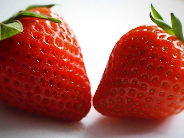 Erdbeeren in Hausach