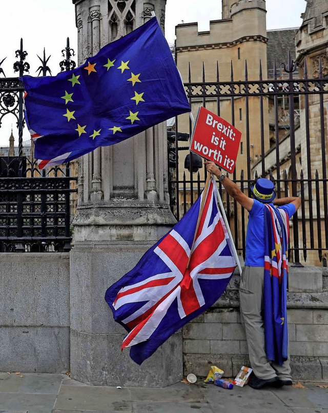 &#8222;Ist das der Brexit wert?&#8220;, fragt dieser Demonstrant in London.  | Foto: AFP