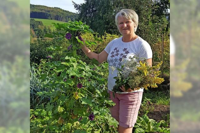 Da wchst gegen alles ein Kraut