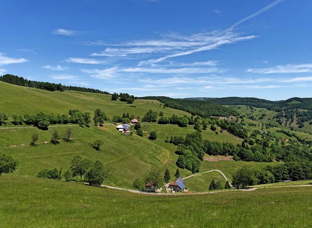 Biosphrengebiet Sdschwarzwald &#8211; hier ein Tal bei Wieden   | Foto:  DPA