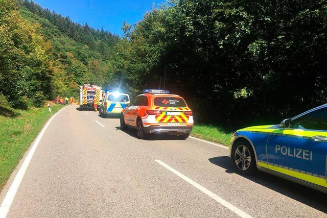 Eine eingeklemmte Person musste die Feuerwehr Bad Sckingen am Samstag befreien.  | Foto: Feuerwehr Bad Sckingen