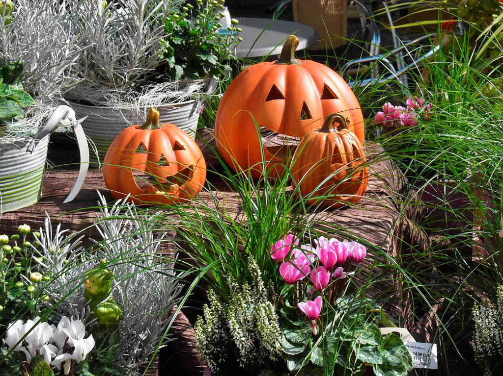Herbstliches wie Blumengestecke, Pflanzen und Krbisse wurde ebenfalls auf dem Bauernmarkt angeboten.