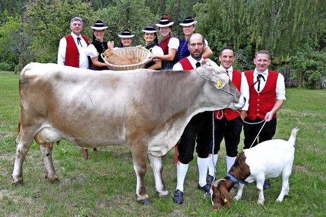 Almrock und tolle Kühe