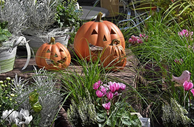 Herbstliches und Selbstgemachtes wurde...stoph Blattmann, Bernhard Kaltenbach.   | Foto: Andrea Steinhart