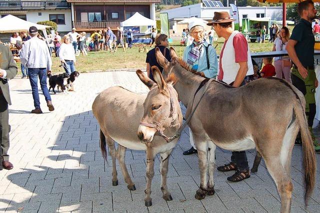 Fotos: Biosphrenfest in Husern