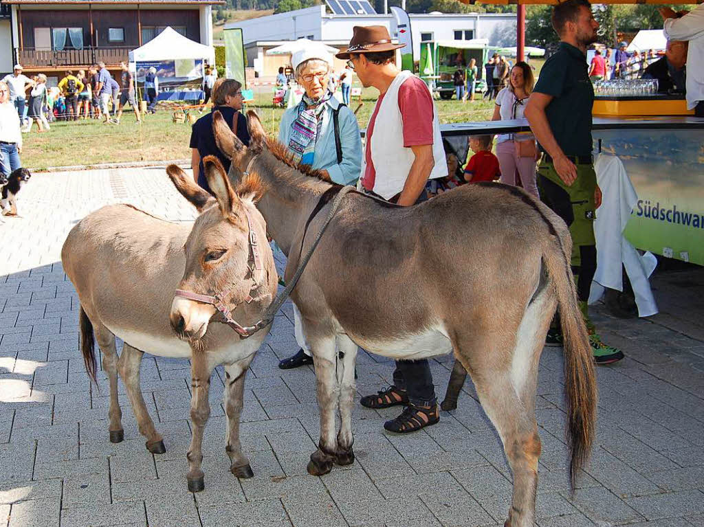 Wer wollte, konnte beim Biosphrenfest diese beiden freundlichen Esel kennenlernen.