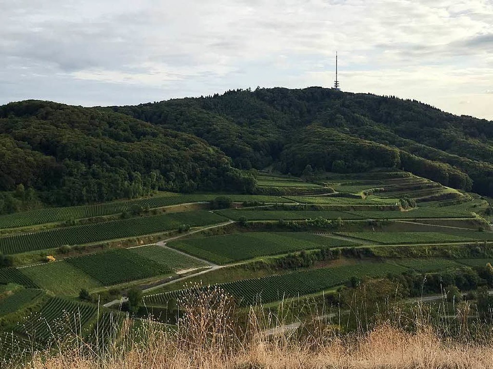 Blick vom Badberg auf die Weinberge in Oberbergen und den Totenkopf.  | Foto: Bernhard Amelung