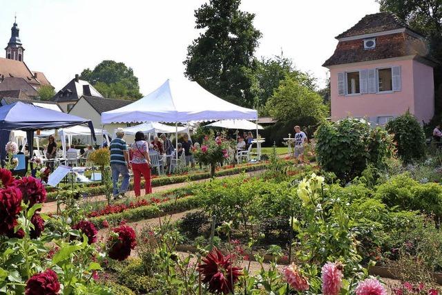 Schne Blumen und gefhlvolle Musik