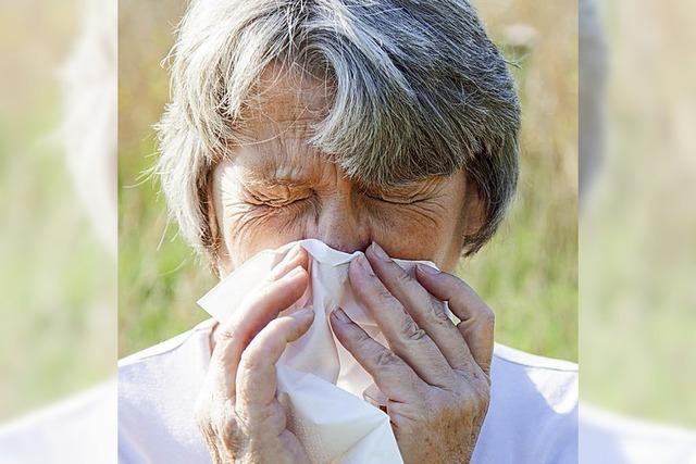 Alter schützt vor Allergien nicht