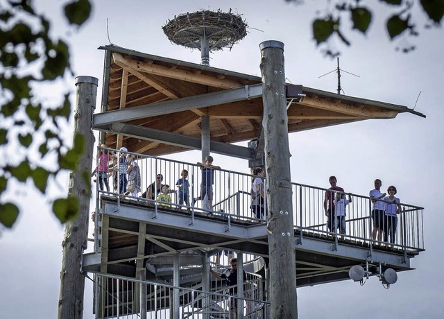 Der Aussichtsturm im Klimawandelgarten war stets gut frequentiert.   | Foto: Verein/Ulrike Hiller