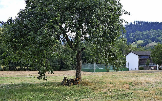 Die zuknftige Strae im Neubaugebiet ...mban-Schule soll Eichbodenweg heien.   | Foto: Frank Schoch