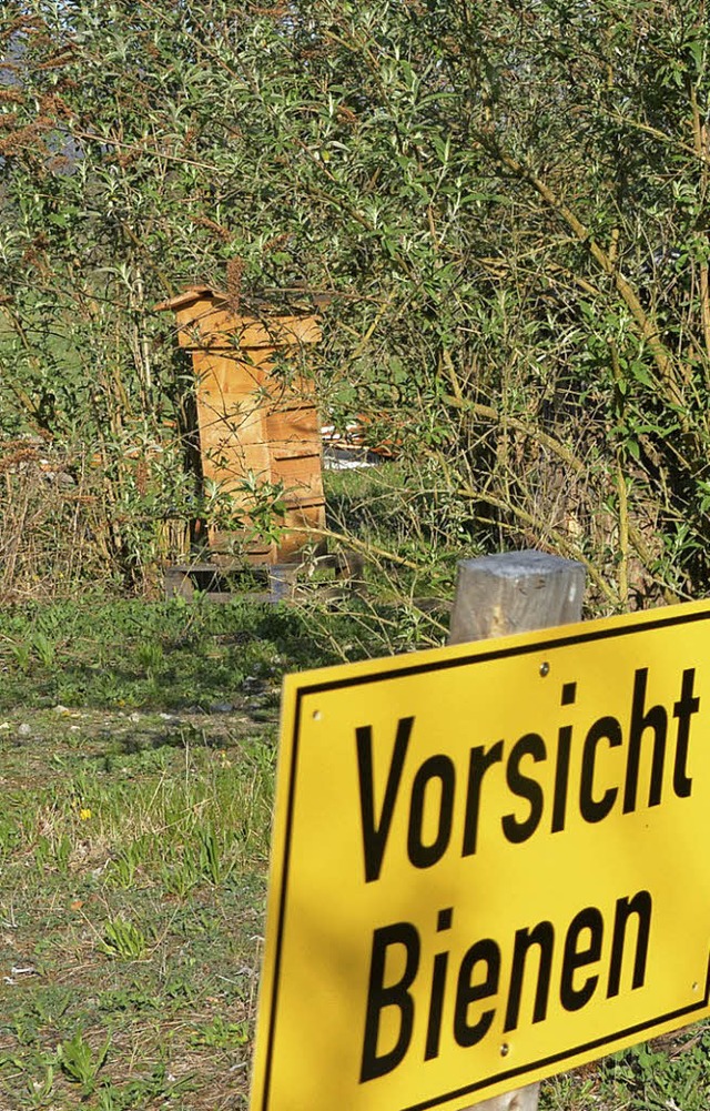 Damit die Bienen lnger Nahrung finden... Hochstaudenwiese in der Metzgergrube.  | Foto: Archivfoto: Danielle Hirschberger