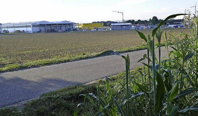 Efringen-Kirchen mchte beim Schlttle...einderat und Landwirt Heinz Kaufmann.   | Foto: Langelott