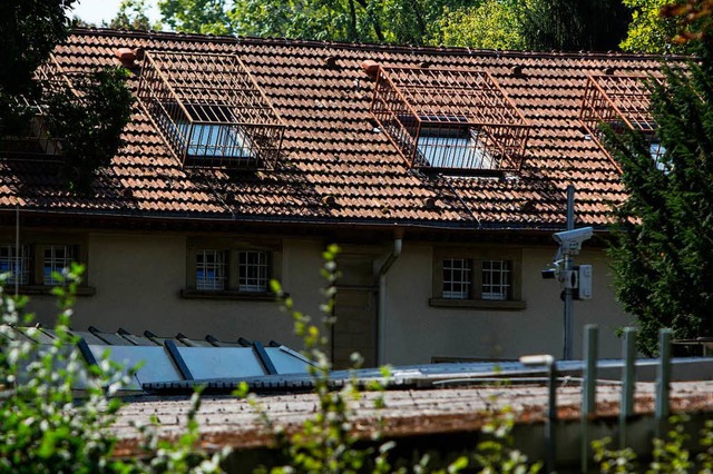 Lucha stellte sich in Emmendingen den ...rbeitern des Zentrums fr Psychiatrie.  | Foto: Patrik Mller