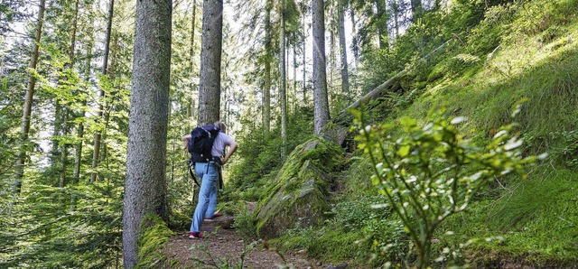 Wandern und  Trekking: auf der Etappe Kniebis nach Gutellbach.  | Foto: Dietmar Genger