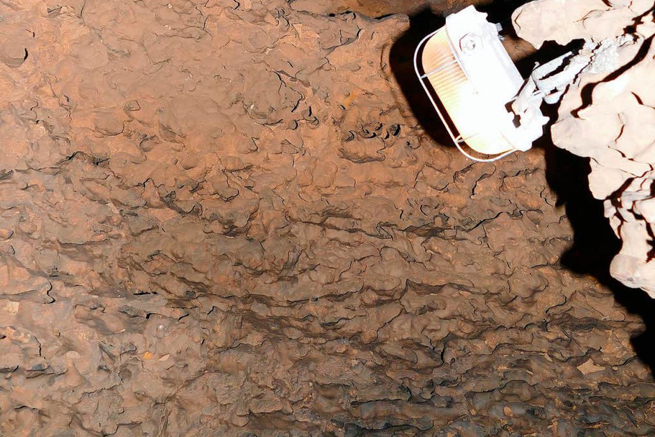 Bizarre Kalkfelsen, sind teilweise von Sediment überzogen, tief hat sich der Höhlenbach durchs Gestein gegraben. (Foto: Ingrid Böhm-Jacob) Bizarre Kalkfelsen, sind teilweise von Sediment überzogen, tief hat sich der Höhlenbach durchs Gestein gegraben. (Foto: Ingrid Böhm-Jacob)