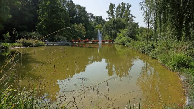 Teich im Kurpark Bad Bellingen muss saniert werden  | Foto: Michael Behrendt