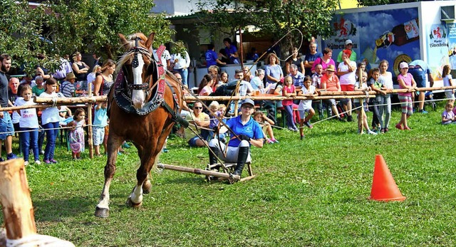 Ein groes Publikum fand sich wieder z...erde- und Reiterfest in Prechtal ein.   | Foto: verein