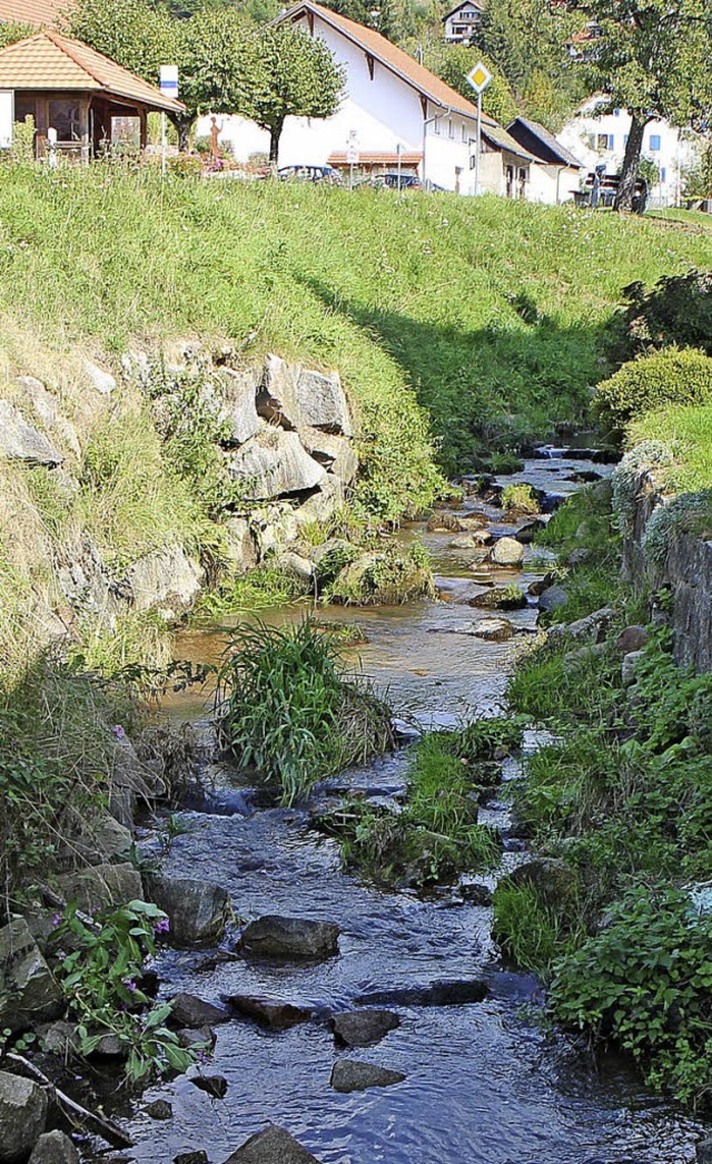 Die Wasserqualitt der Kander soll berprft werden.   | Foto: Rhein