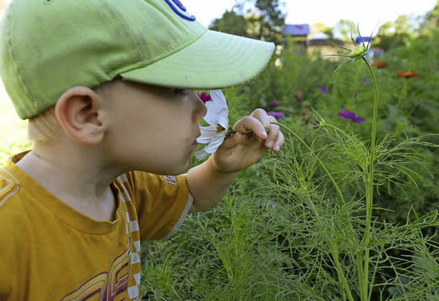 Wie duften verschiedene Blumen? Das k...sie mit in ihre Grten nehmen konnten.  | Foto: Ingo Schneider