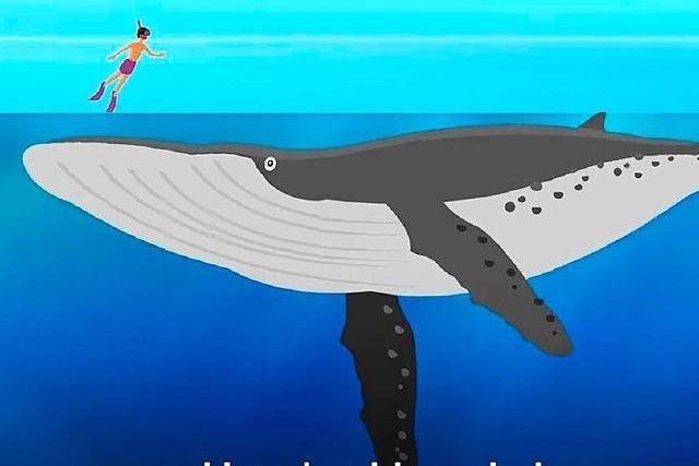 Kurzfilm zum Wochenende: Diese Animation zeigt, wie tief der Ozean wirklich ist