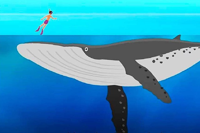 In dieser Animation wird erklrt, wie tief der Ozean tatschlich ist  | Foto: Screenshot Youtube