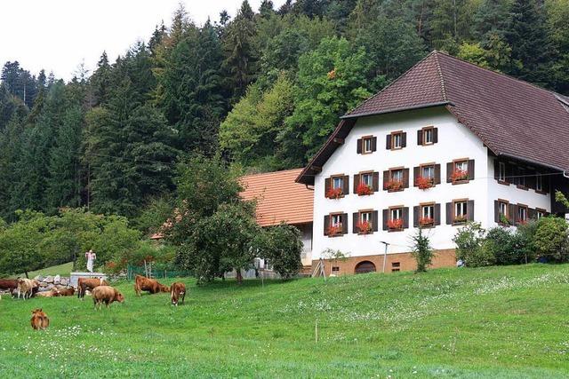 Kohlenbachtag – Veranstaltung im Rahmen der Heimattage in Waldkirch 2018