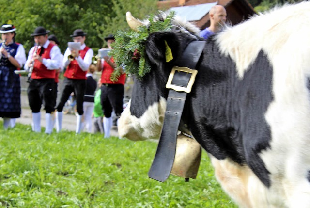 Der Viehabtrieb bildet wiederum den H... der Alemannischen Woche in Oberried.   | Foto: Erich Krieger