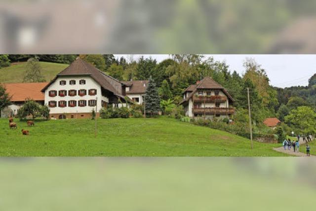 Von Hof zu Hof im Kohlenbachtal