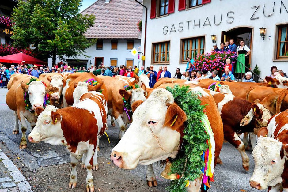 Der 12. Almabtrieb bot für jeden etwas. Buntgeschmückte Tiere, rustikale Wettkämpfe, Musik und Unterhaltung. (Foto: Horst Dauenhauer) Der 12. Almabtrieb bot für jeden etwas. Buntgeschmückte Tiere, rustikale Wettkämpfe, Musik und Unterhaltung. (Foto: Horst Dauenhauer)