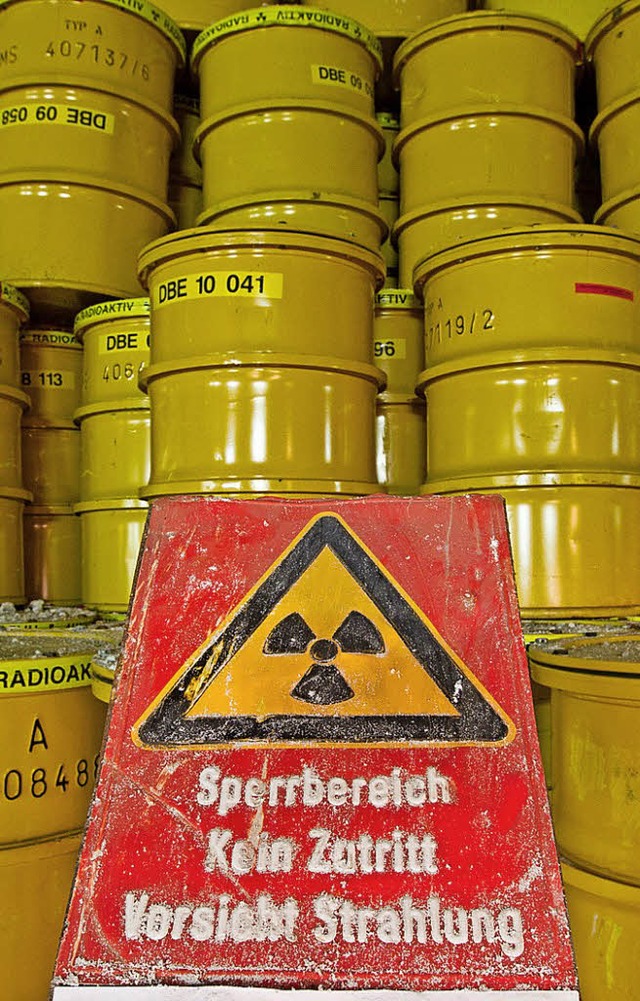 Fr ein  Atommllendlager  sucht die Schweiz einen Standort.   | Foto:  dpa