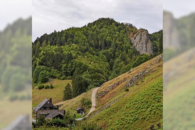 Scharf, der Stein!