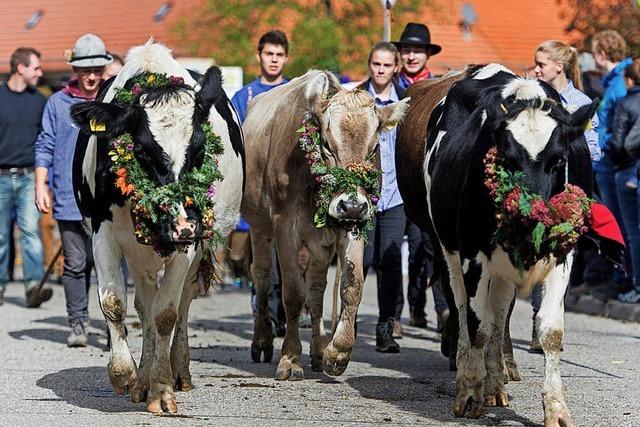 Alemannische Woche Oberried