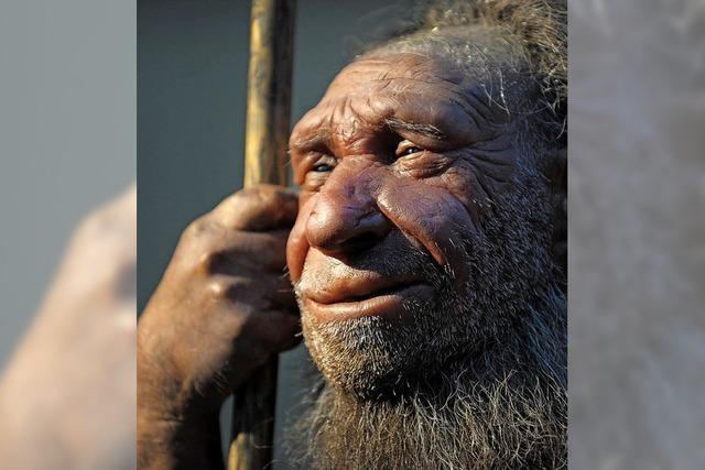 Neanderthaler waren Feinmotoriker