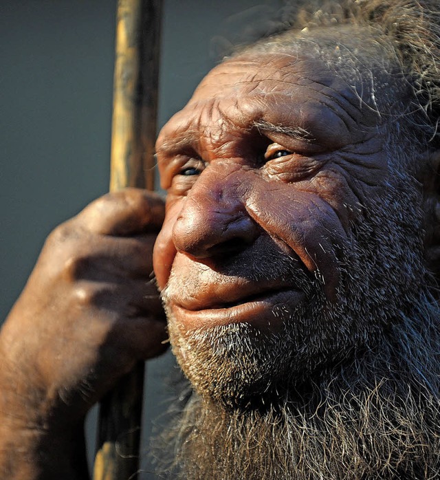 Die Neandertaler, hier eine Nachbildun...ettmann, waren durchaus fingerfertig.   | Foto: Federico Gambarini (dpa)