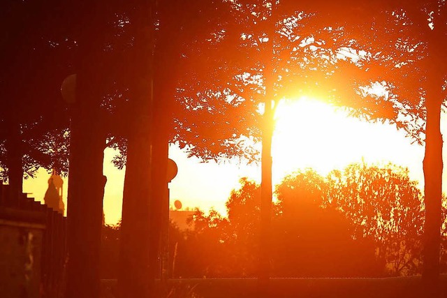 Die Sonne blendete eine Autofahrerin in Lrrach (Symbolbild).  | Foto: dpa