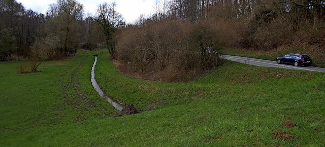 Fast verdoppelt werden soll die Rckha...t des Rckhaltebeckens bei Zunsweier.   | Foto: Hubert Rderer