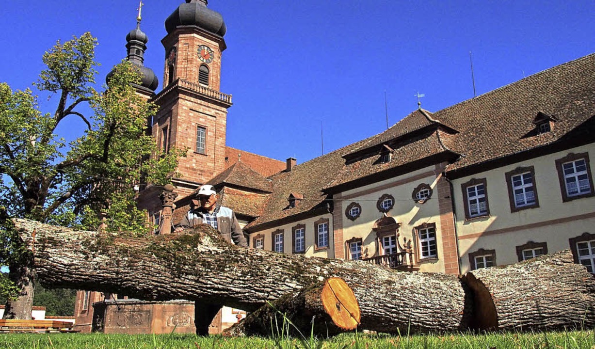 Kirche lässt kranke Linde im Klosterhof fällen St. Peter