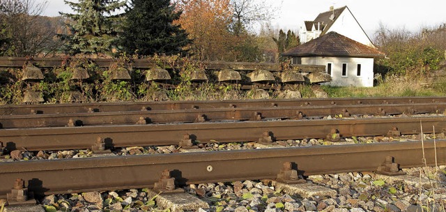 De Gleise der Kandertalbahn bei Wollba...ier bald eine S-Bahn im Regelbetrieb?   | Foto: Schtz