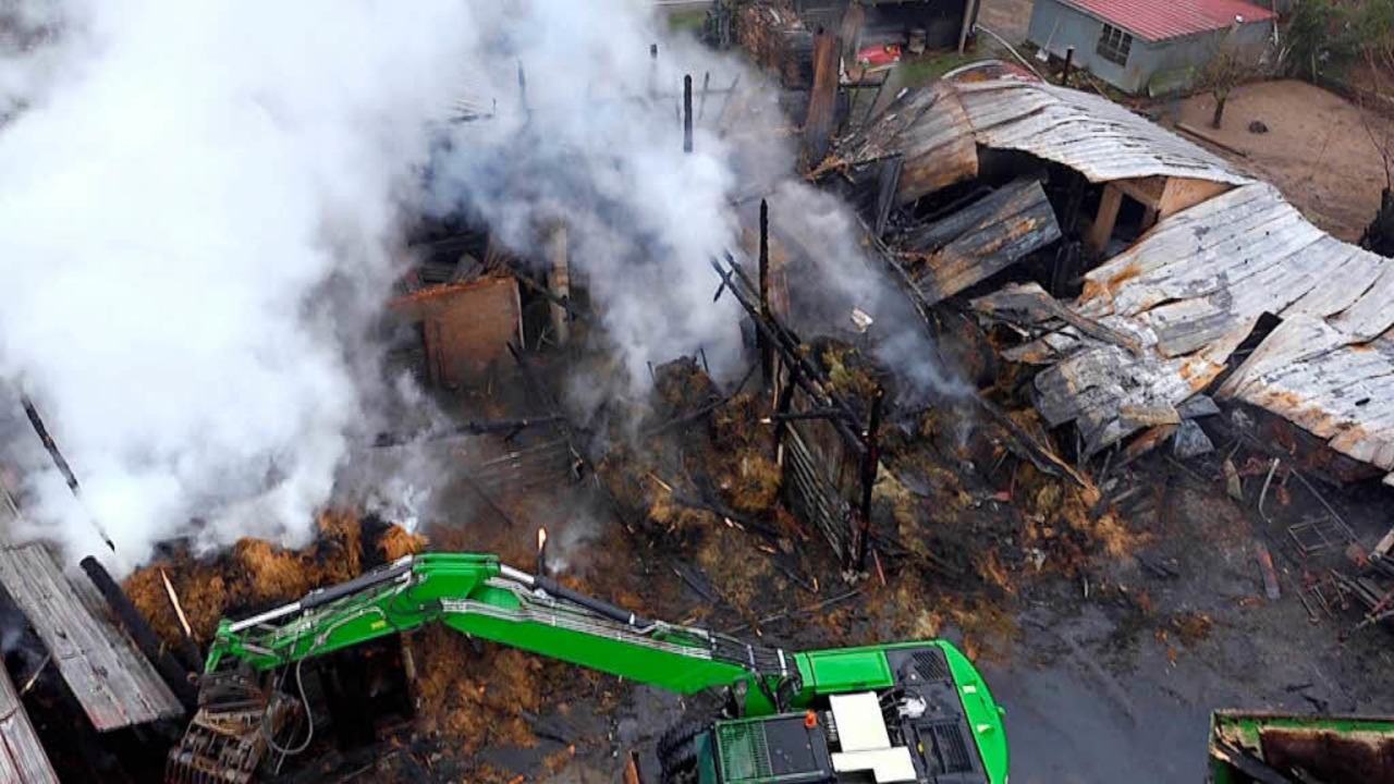 Nach dem Feuer: In Hsingen hatte dies...r viele  Tiere kam jede Hilfe zu spt.  | Foto: Martin Klabund