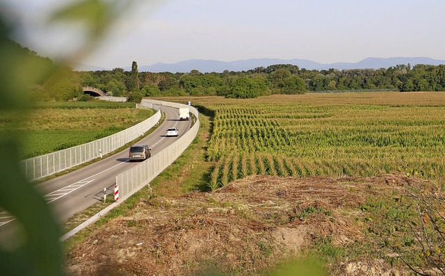 Nrdlich der L 113 ist bei Sasbach vor...ie fr unbelasteten Erdaushub geplant.  | Foto: Martin Wendel