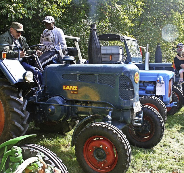 Prachtvolle alte Traktoren und Oldtime...ld beim 28. Oldtimertreffen in Hasel.   | Foto: Ralph Lacher