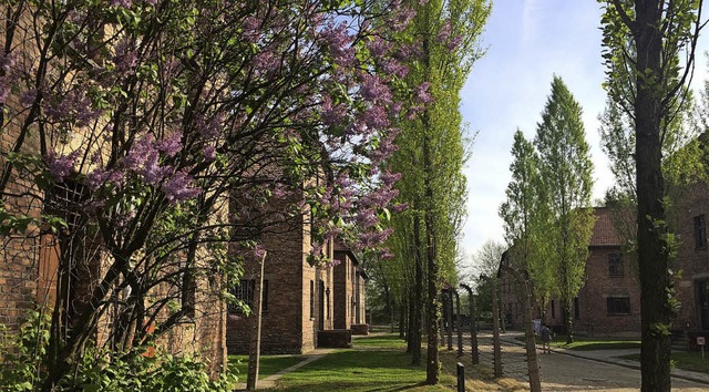 Auschwitz  | Foto: Michael Paul