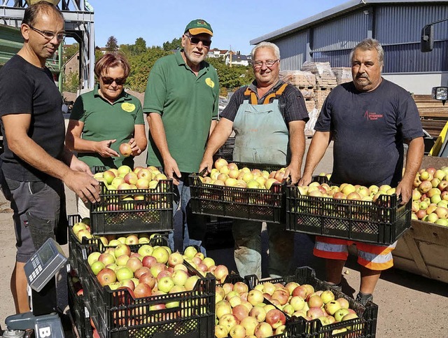 Sie packten krftig bei der Ernte mit ...urlandschaft und Uwe Kuch vom Bauhof    | Foto: Ulrike Hiller